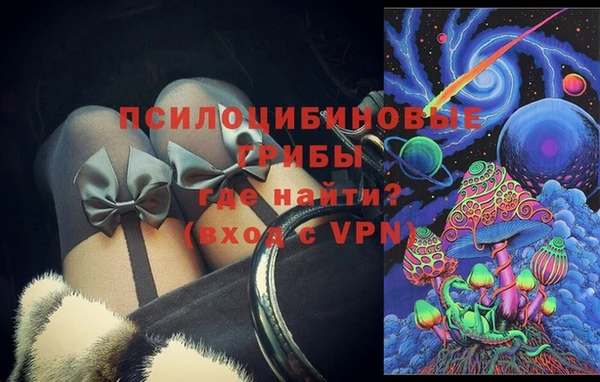 ПСИЛОЦИБИНОВЫЕ ГРИБЫ Волоколамск