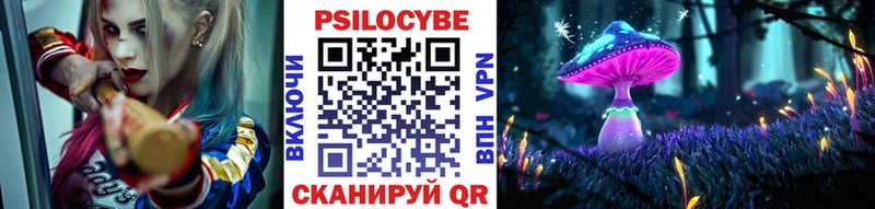 Псилоцибиновые грибы Cubensis  Купить где  Каменка 